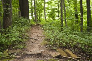 MUB, BOPARC sign off on addendum to 2019 White Park agreement